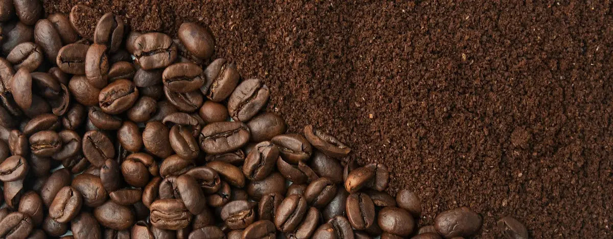 Café en grano o molido: cuál elegir según tu cafetera