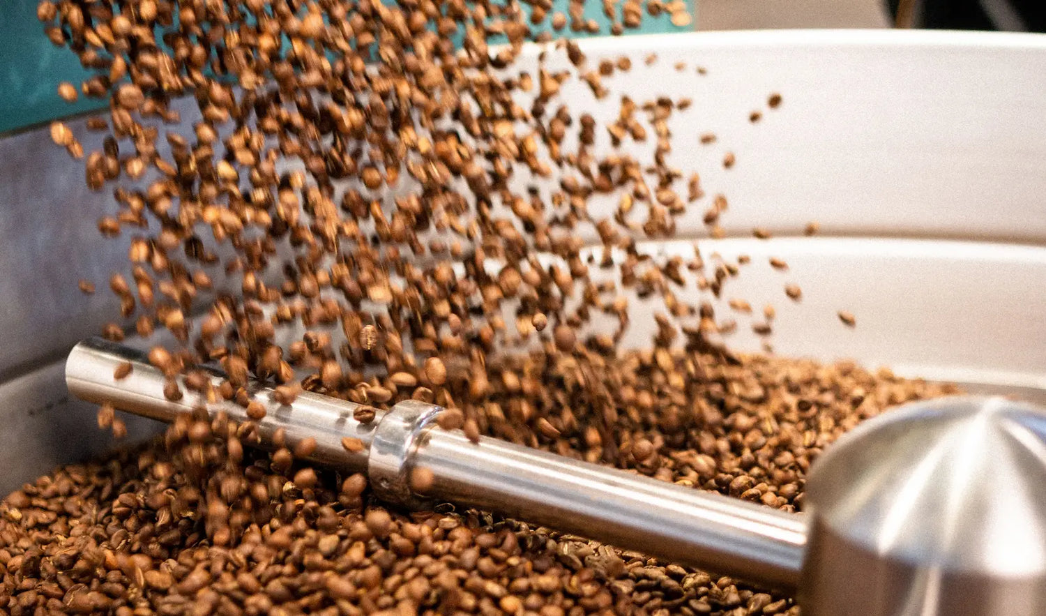 Proceso Swiss Water: qué es y cómo descafeína el café | San Jorge Café