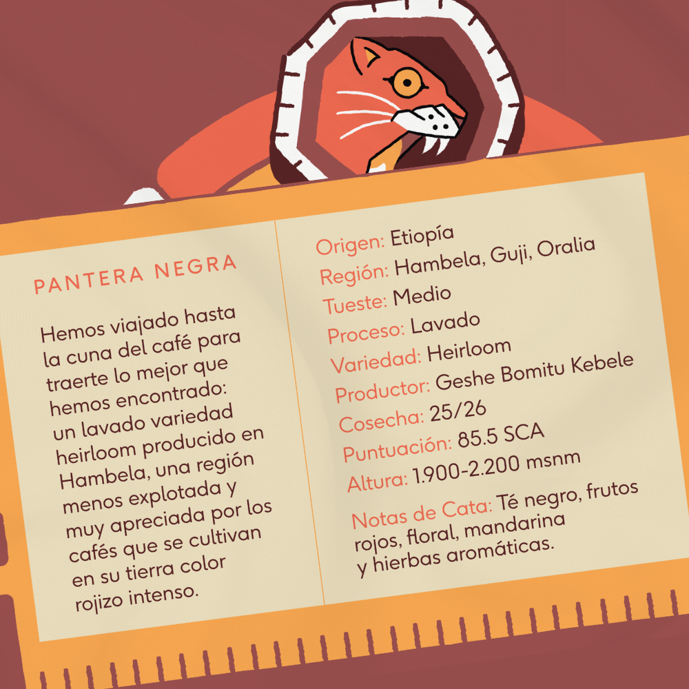 MISIÓN KILAZO