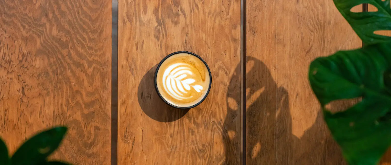Glosario Café de especialidad para entender tu taza
